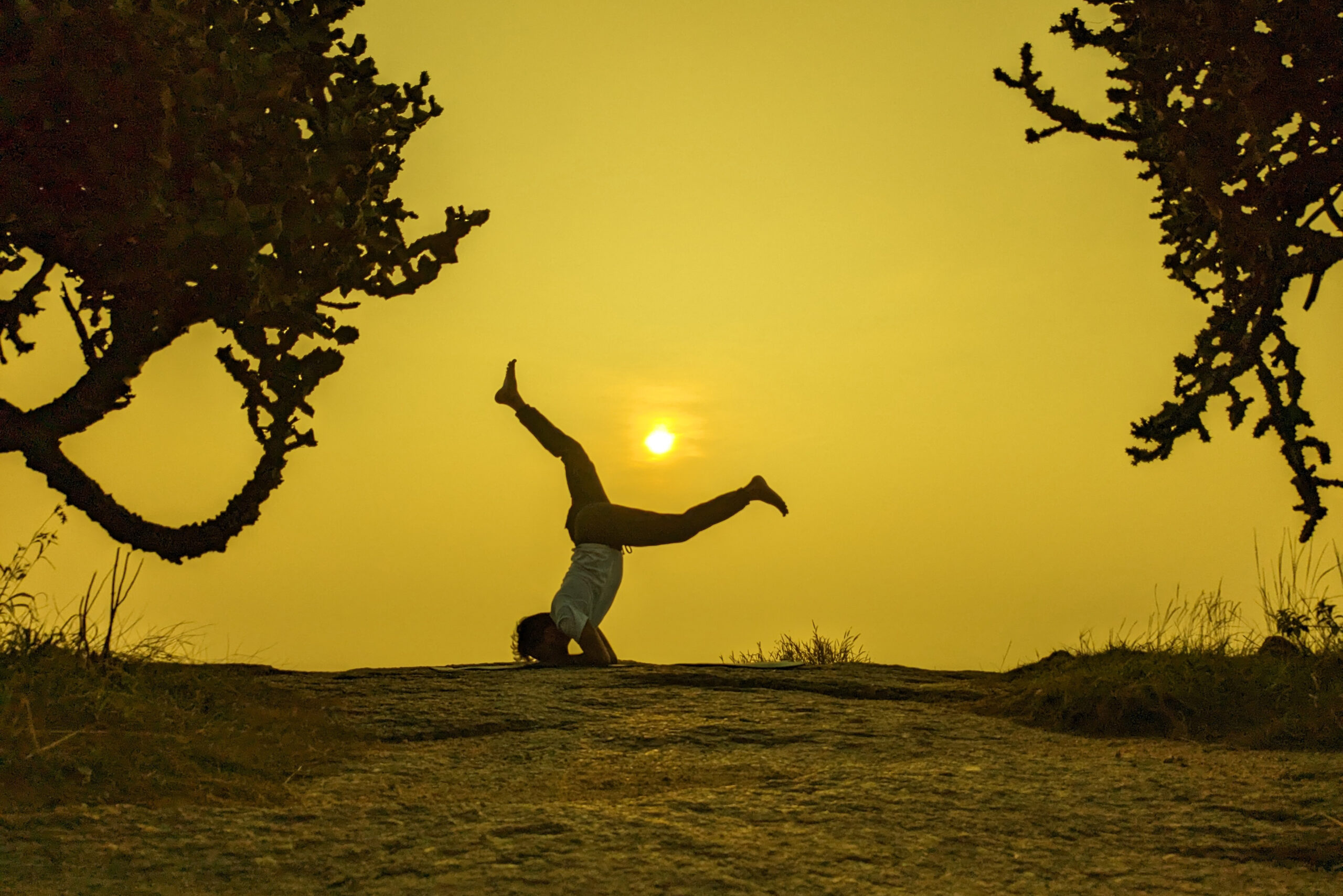 Yogic Method practice