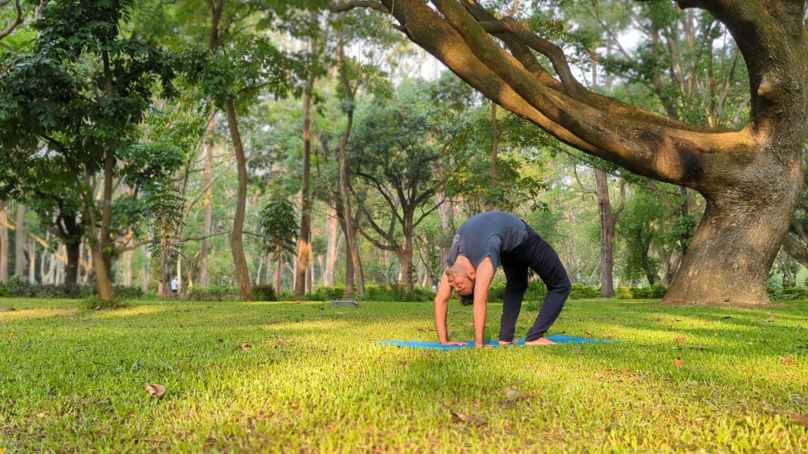 Yogic Method practice